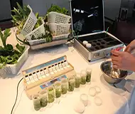 嵌入式工业主板在食品安全防伪追溯监管中的应用